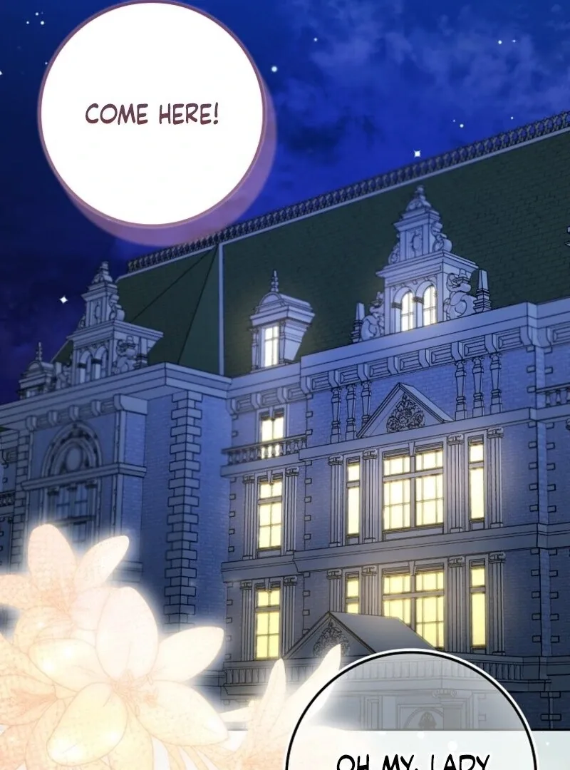 Beware of the Strongest Man Who is Crazy About Me Chapter 47 page 65