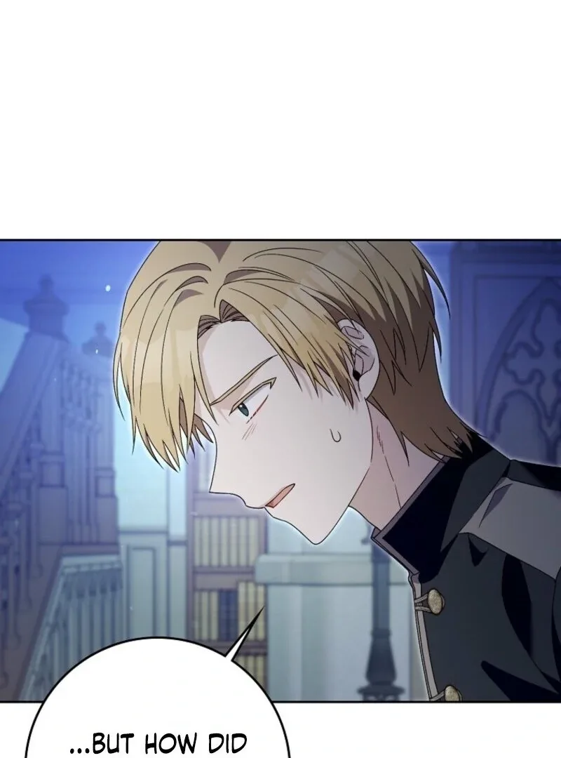 Beware of the Strongest Man Who is Crazy About Me Chapter 48 page 16
