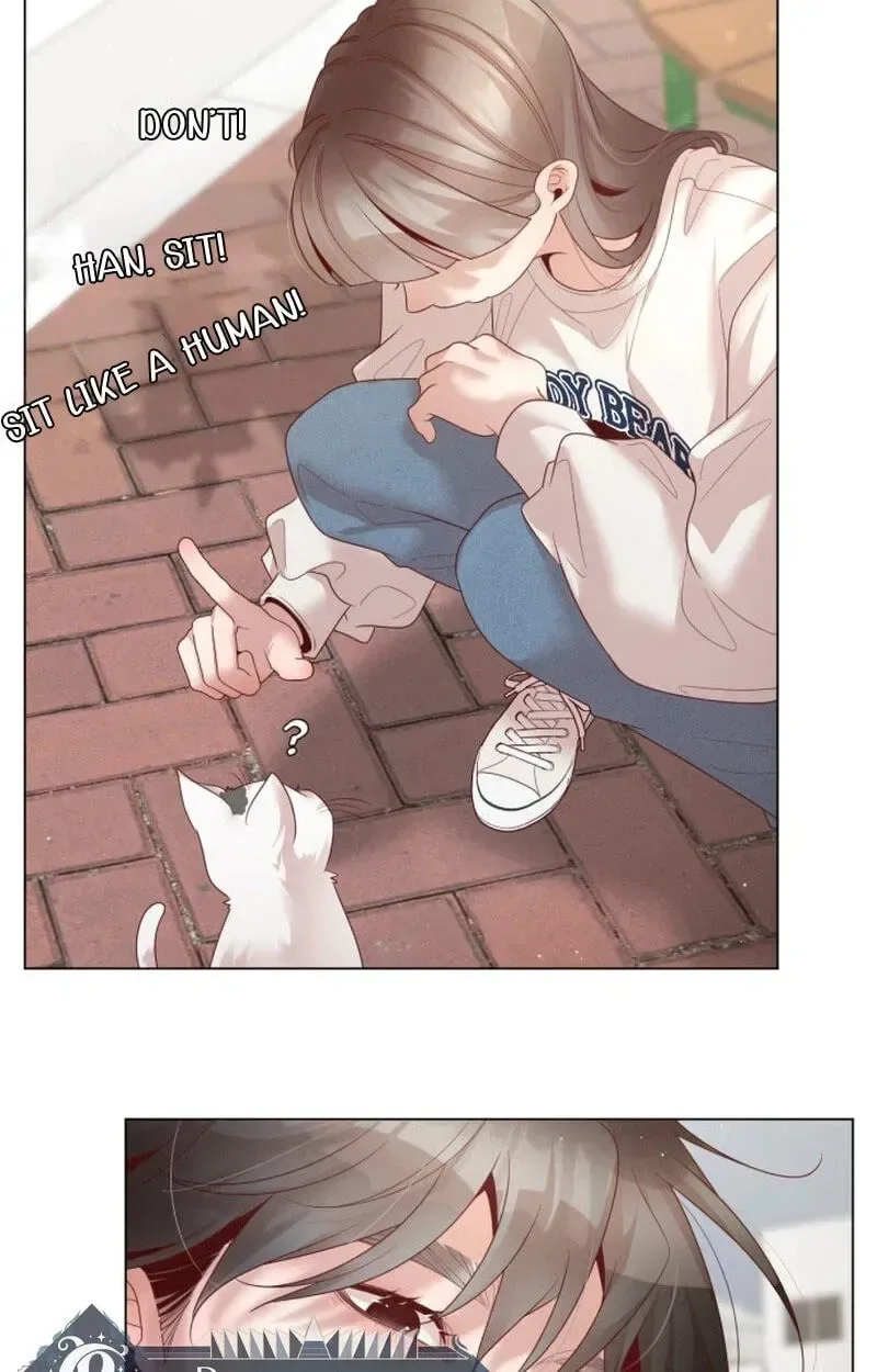 Black History Again Chapter 60 page 65