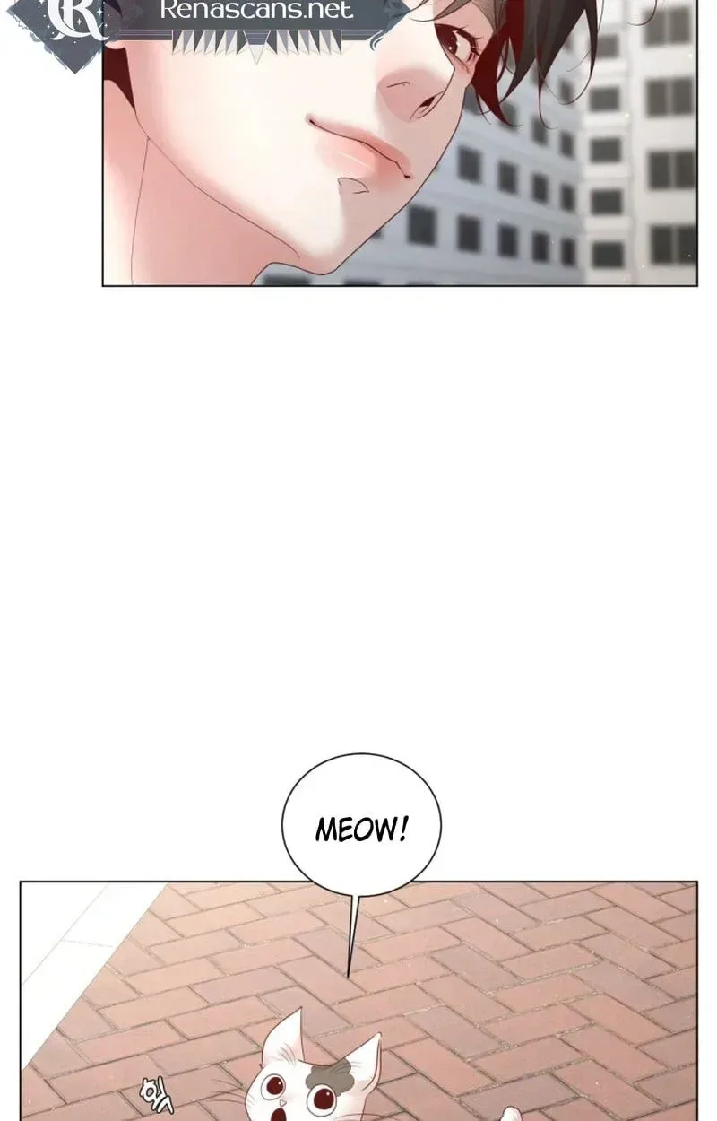 Black History Again Chapter 60 page 66