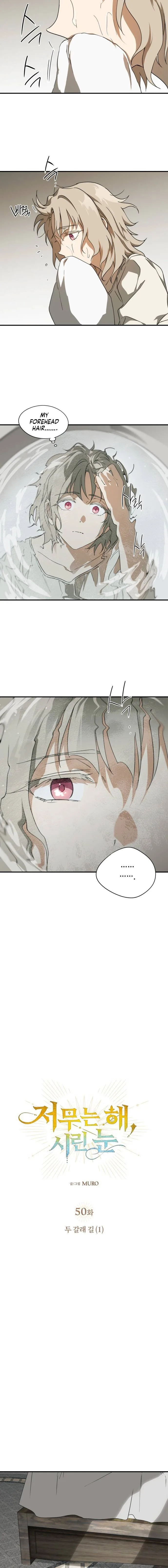 Blinded by the Setting Sun Chapter 50 page 5