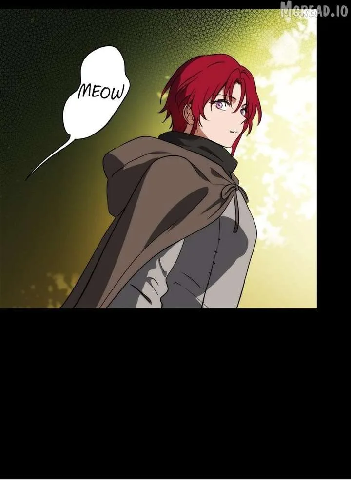 Blinded by the Setting Sun Chapter 228 page 40