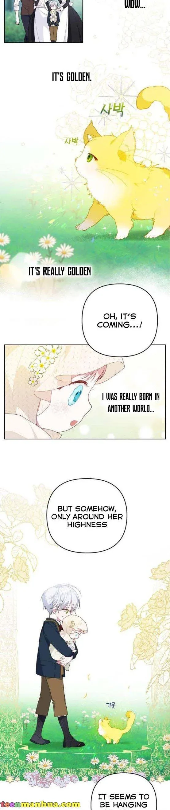 Born a Princess Chapter 5 page 21