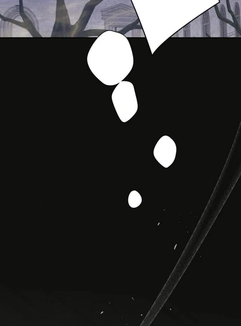 Born a Princess Chapter 117 page 3