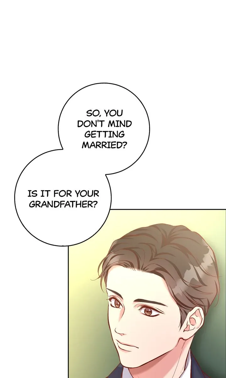 Business Marriage – If You Fall in Love, We’ll Get a Divorce Chapter 2 page 52