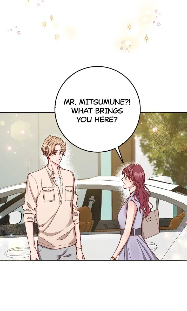 Business Marriage – If You Fall in Love, We’ll Get a Divorce Chapter 22 page 75