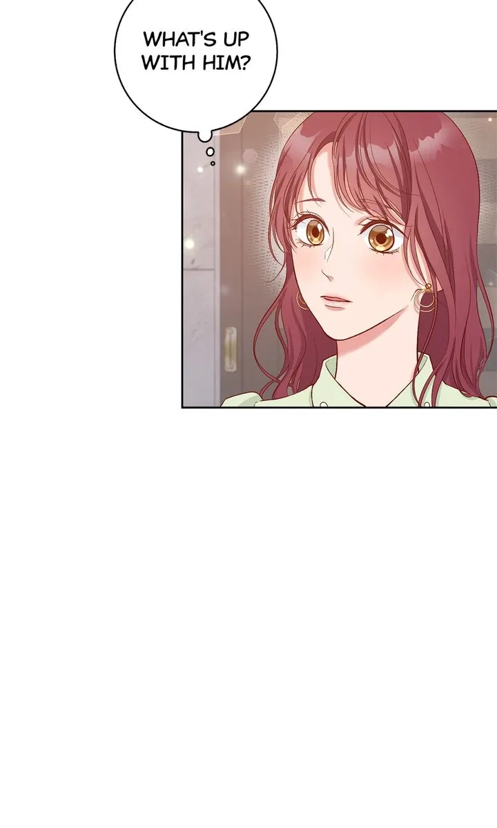 Business Marriage – If You Fall in Love, We’ll Get a Divorce Chapter 19 page 50