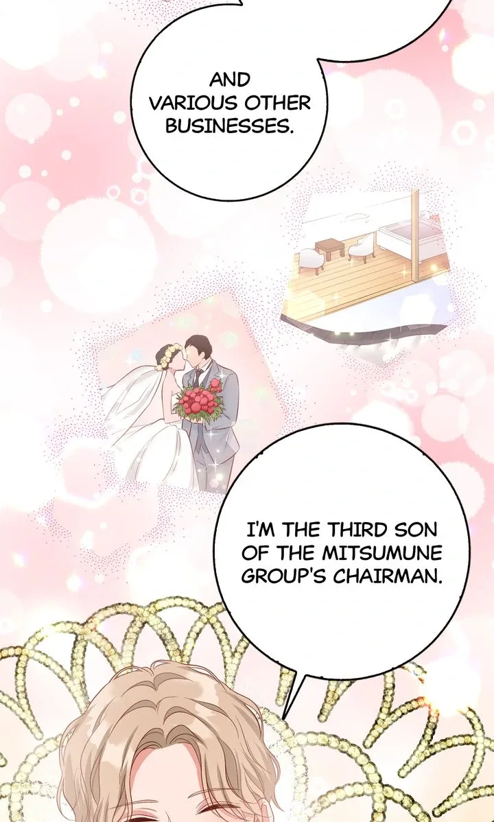 Business Marriage – If You Fall in Love, We’ll Get a Divorce Chapter 19 page 68