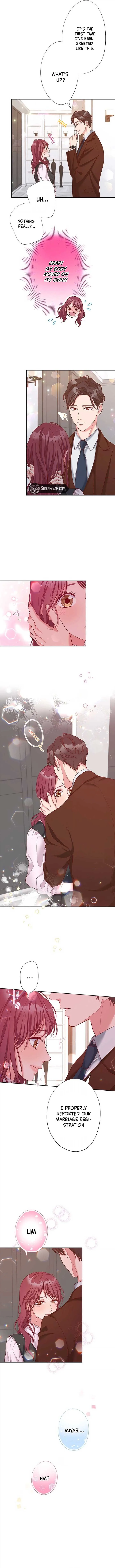 Business Marriage – If You Fall in Love, We’ll Get a Divorce Chapter 44 page 3