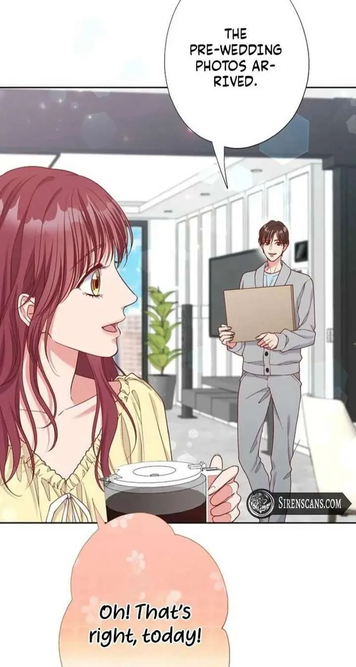 Business Marriage – If You Fall in Love, We’ll Get a Divorce Chapter 82 page 68