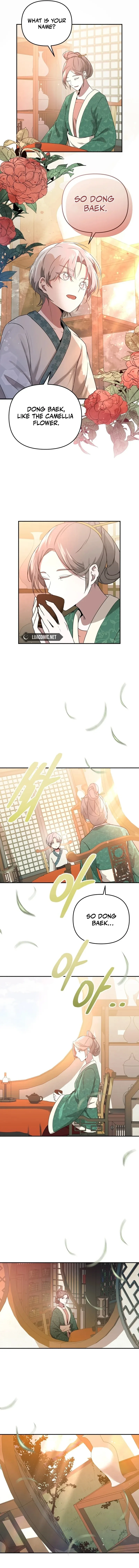 Camellia Chapter 1 page 16