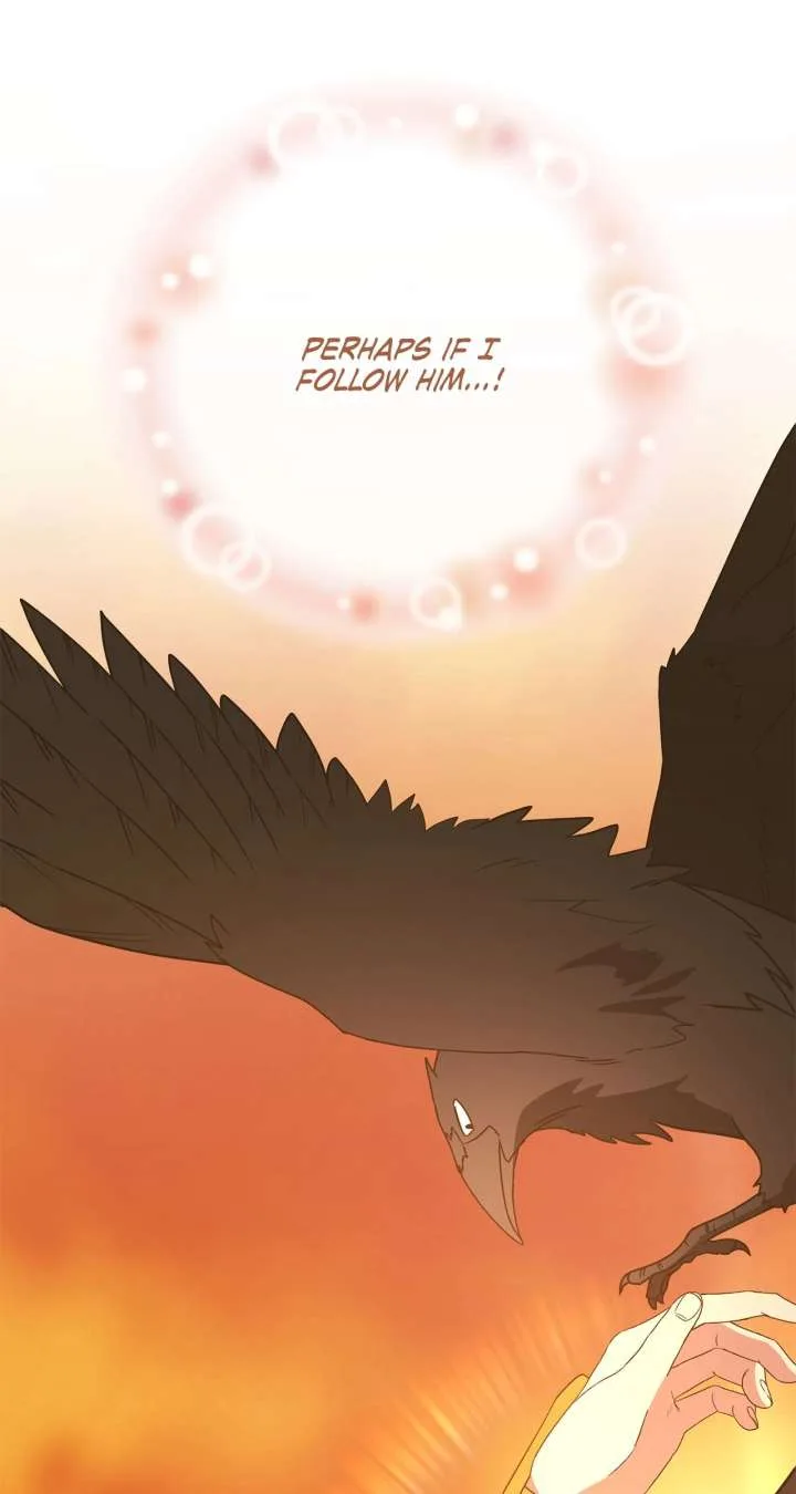 Camellia Chapter 52 page 50