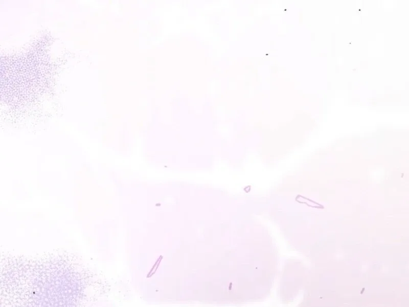 Can We Become a Family? Chapter 155 page 15