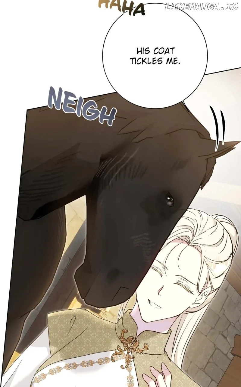 Captain! Is this battlefield here? Chapter 73 page 28