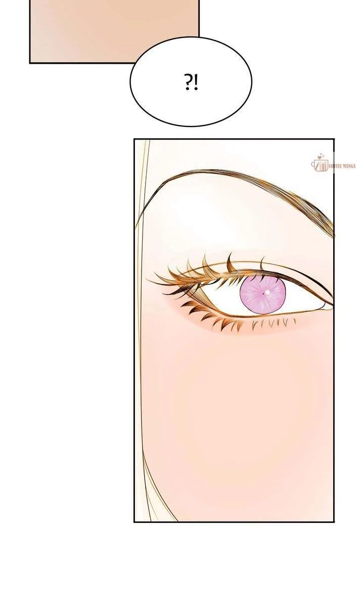 Cassnier’s Secret Memoirs Chapter 44 page 115