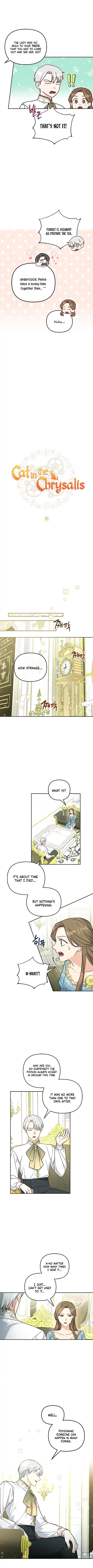 Cat in the Chrysalis Chapter 16 page 3