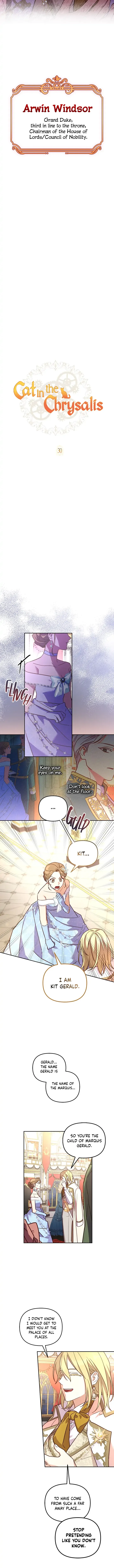 Cat in the Chrysalis Chapter 30 page 8
