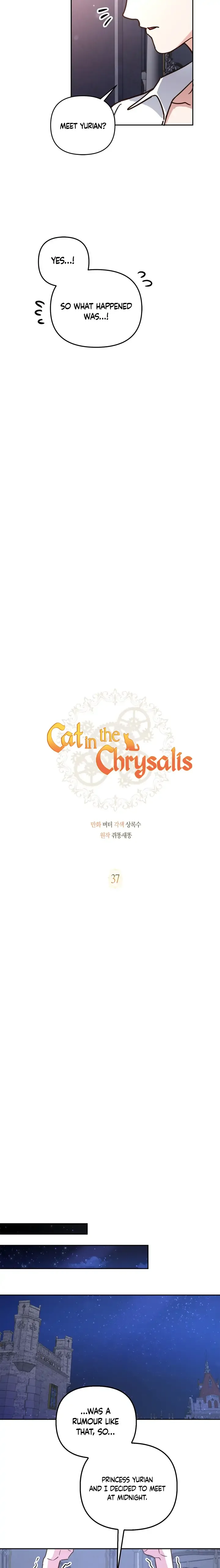 Cat in the Chrysalis Chapter 37 page 5
