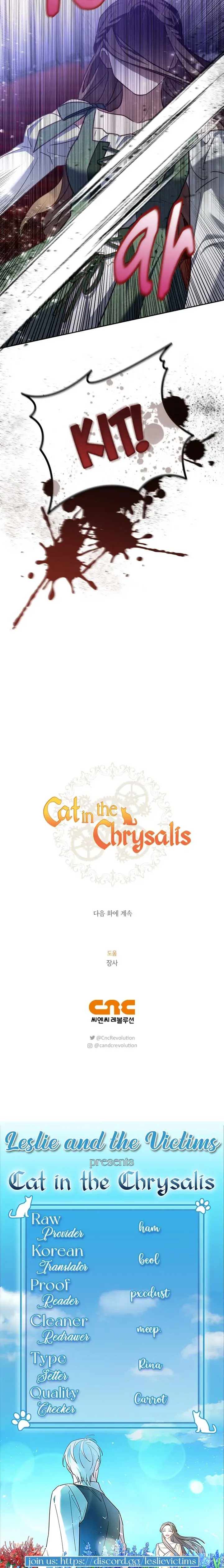 Cat in the Chrysalis Chapter 46 page 28