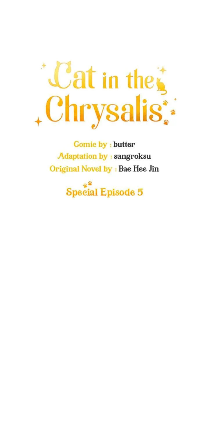 Cat in the Chrysalis Chapter 79 page 6