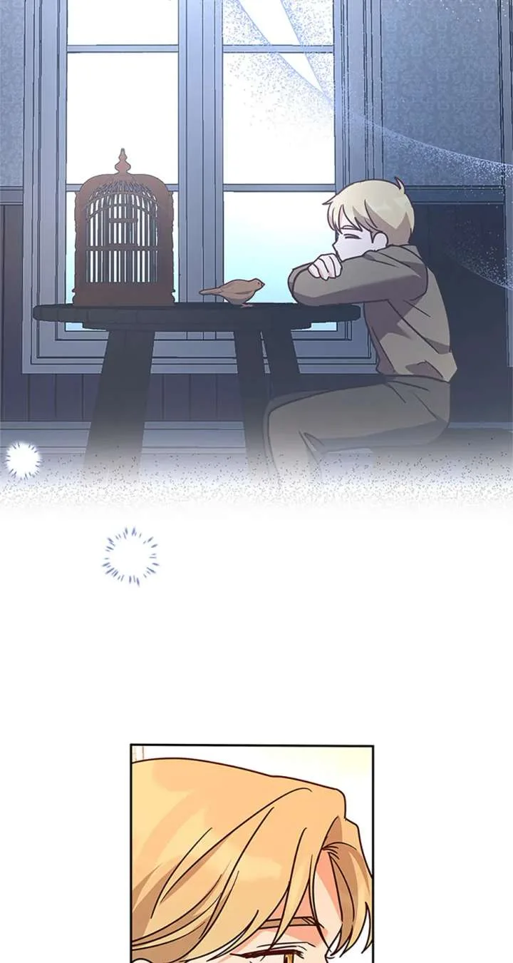 Cat in the Chrysalis Chapter 80 page 62