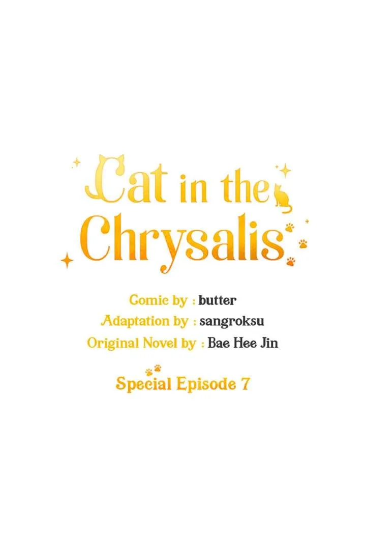 Cat in the Chrysalis Chapter 81 page 10