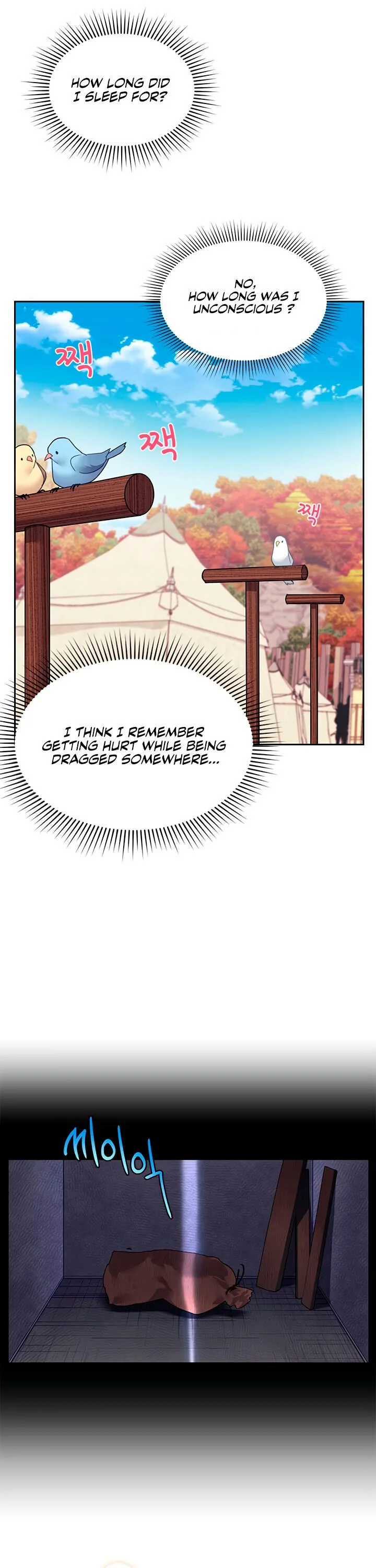 Cavier Falcon Princess Chapter 1 page 19