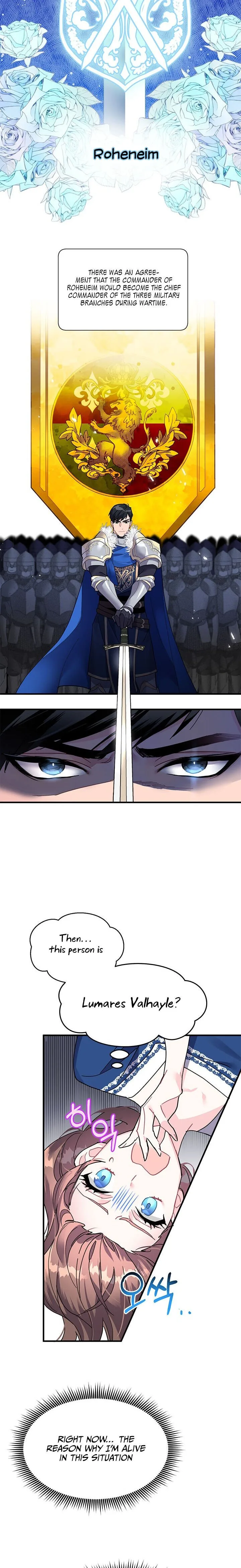 Cavier Falcon Princess Chapter 3 page 12