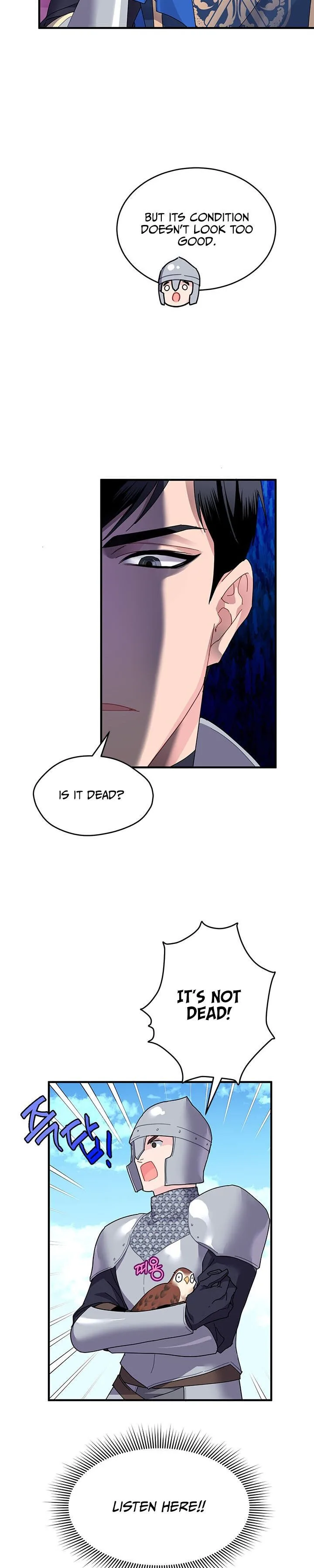Cavier Falcon Princess Chapter 3 page 21