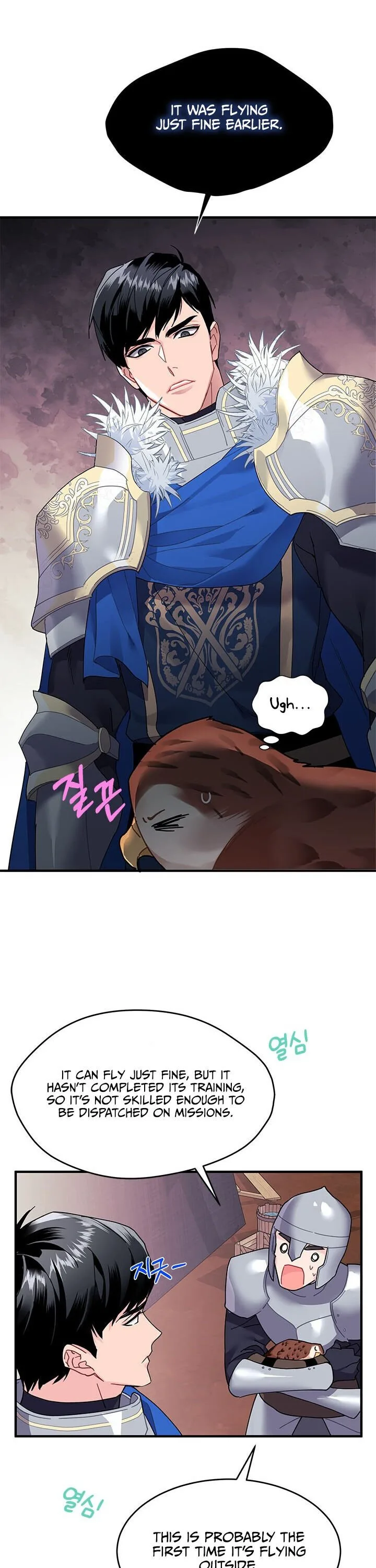 Cavier Falcon Princess Chapter 3 page 18