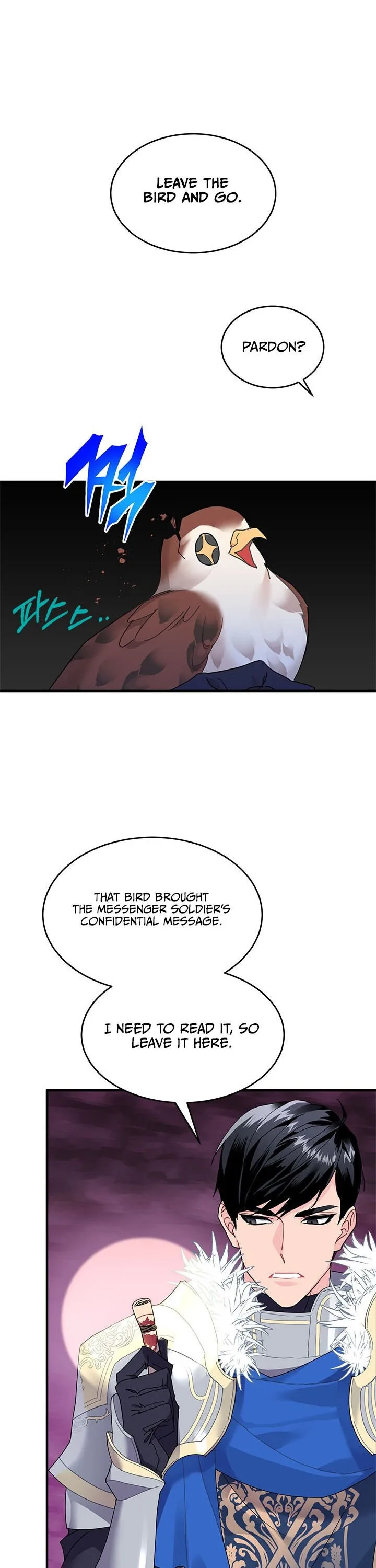 Cavier Falcon Princess Chapter 3 page 20