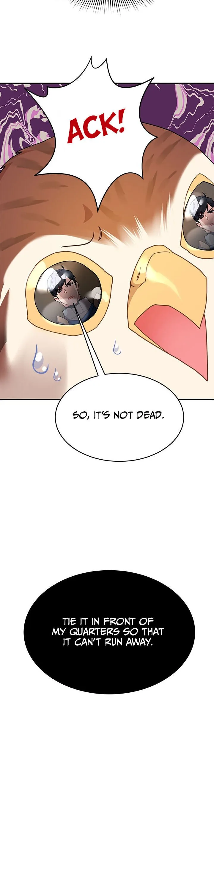 Cavier Falcon Princess Chapter 3 page 22
