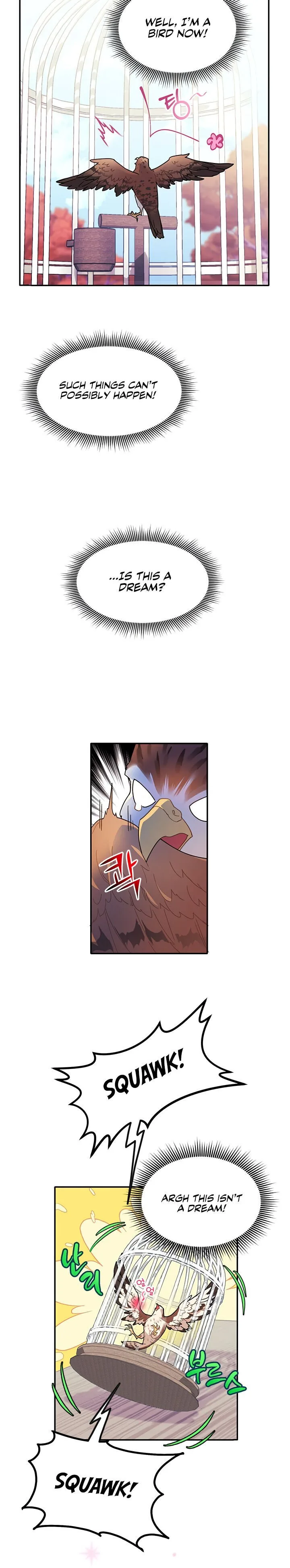 Cavier Falcon Princess Chapter 2 page 3