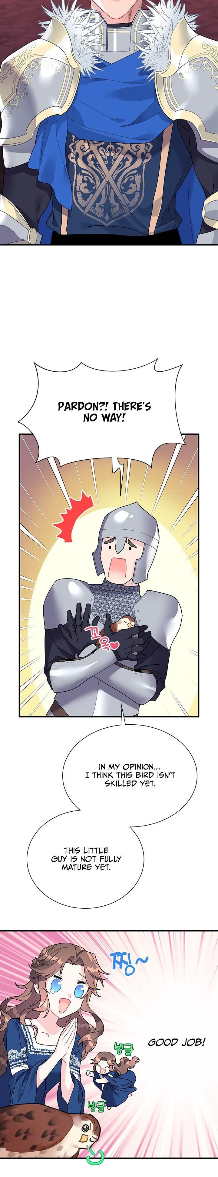 Cavier Falcon Princess Chapter 3 page 17