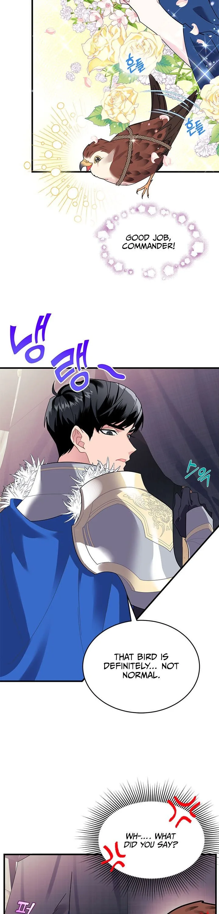 Cavier Falcon Princess Chapter 4 page 8
