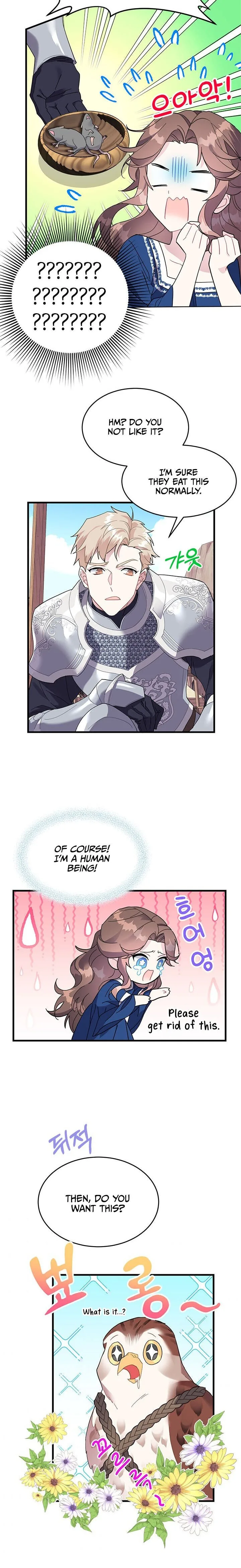 Cavier Falcon Princess Chapter 4 page 12