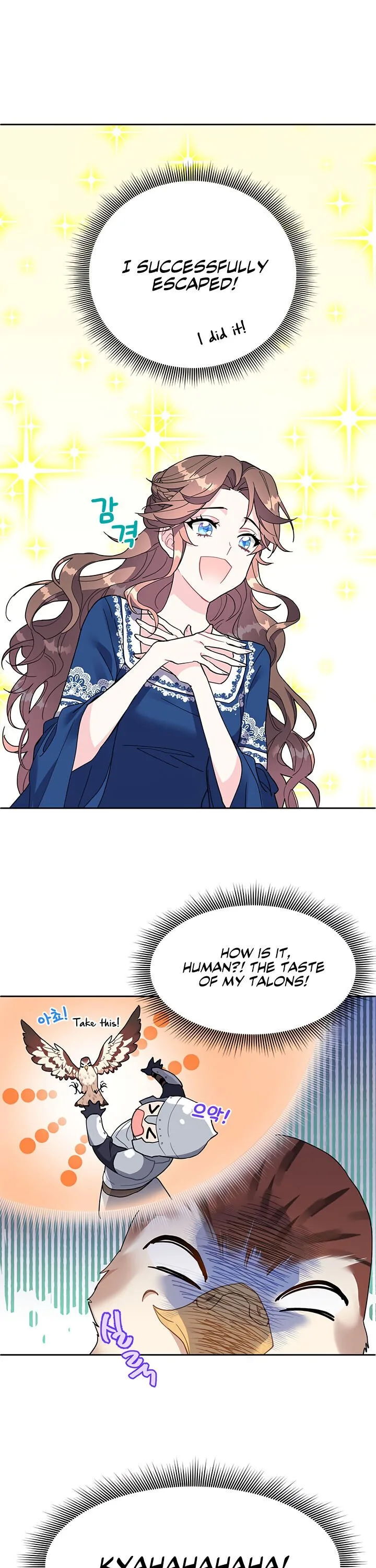 Cavier Falcon Princess Chapter 2 page 10