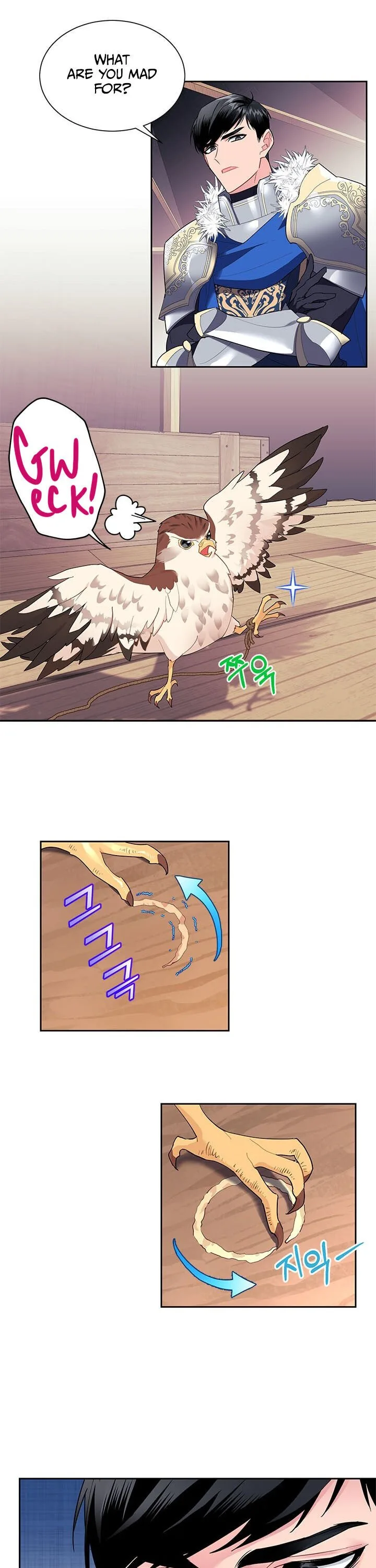 Cavier Falcon Princess Chapter 6 page 6