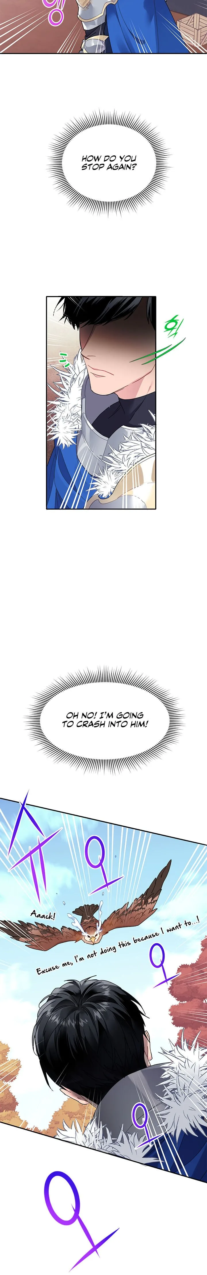Cavier Falcon Princess Chapter 2 page 23