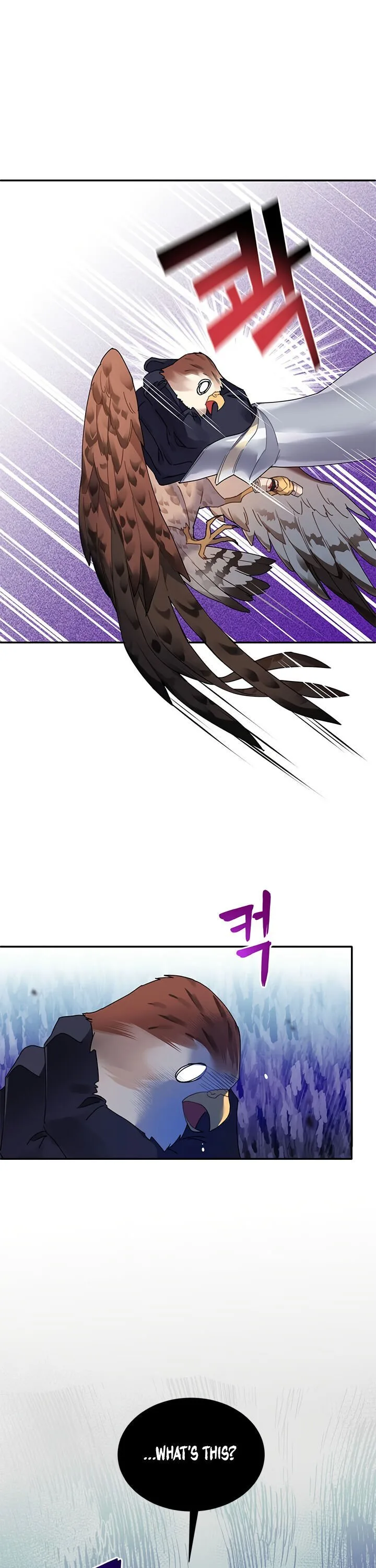 Cavier Falcon Princess Chapter 2 page 24