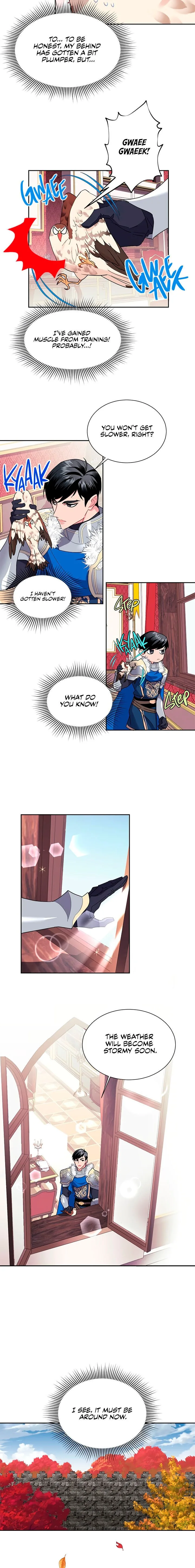 Cavier Falcon Princess Chapter 10 page 14