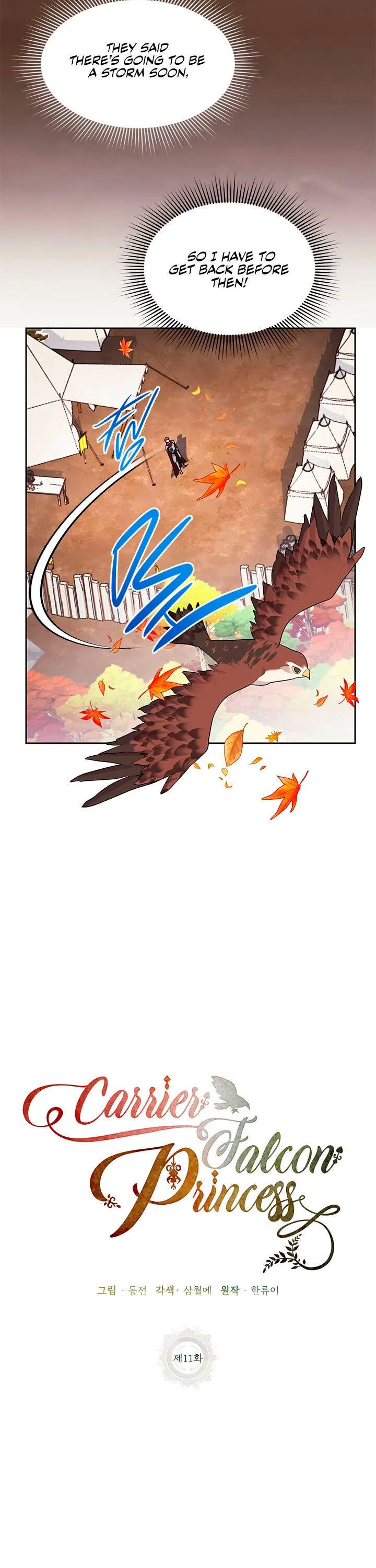 Cavier Falcon Princess Chapter 11 page 8