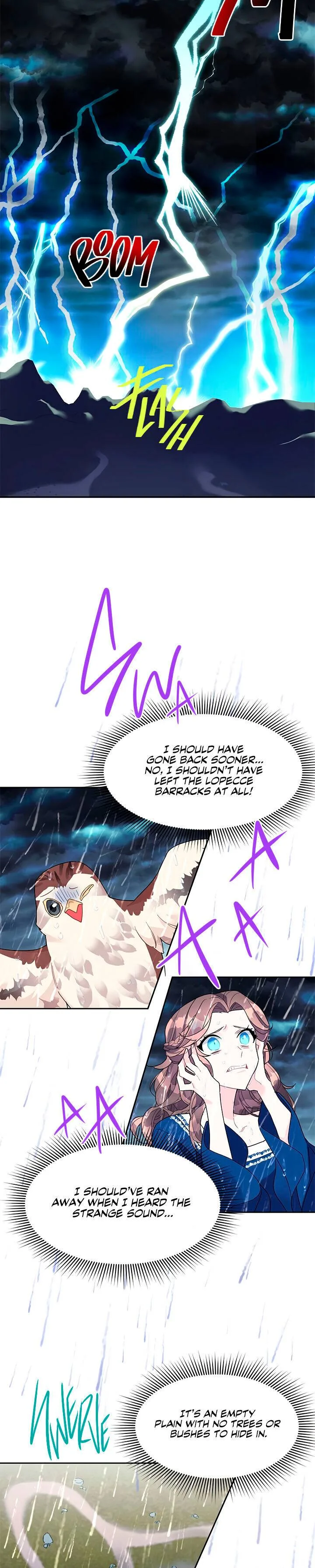 Cavier Falcon Princess Chapter 11 page 13