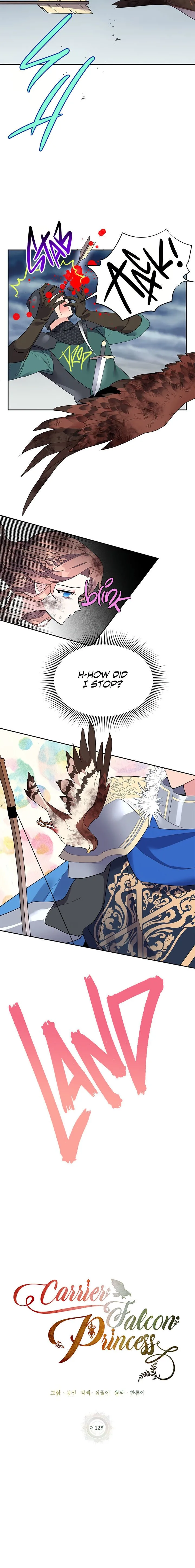 Cavier Falcon Princess Chapter 12 page 11