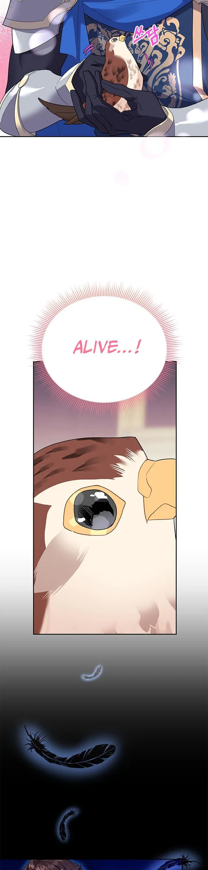 Cavier Falcon Princess Chapter 6 page 23