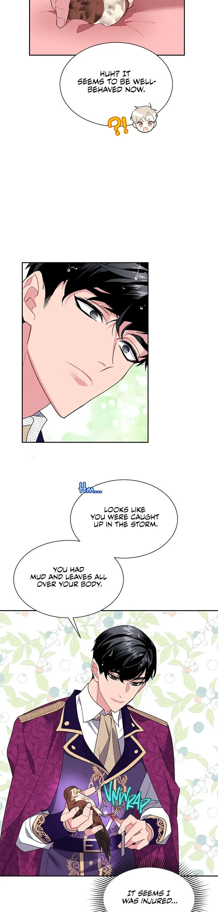 Cavier Falcon Princess Chapter 12 page 16