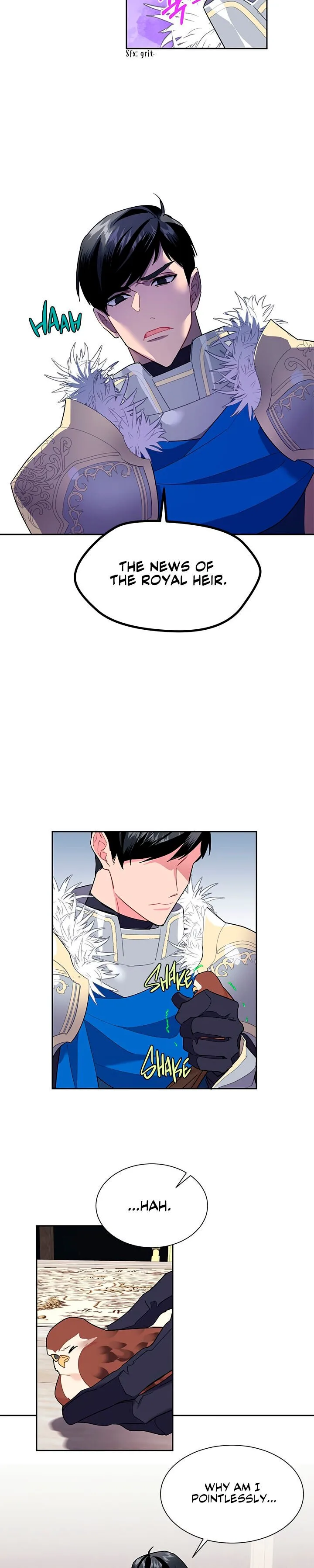 Cavier Falcon Princess Chapter 9 page 16