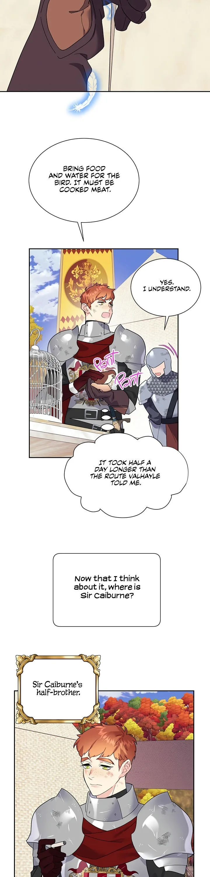 Cavier Falcon Princess Chapter 15 page 3