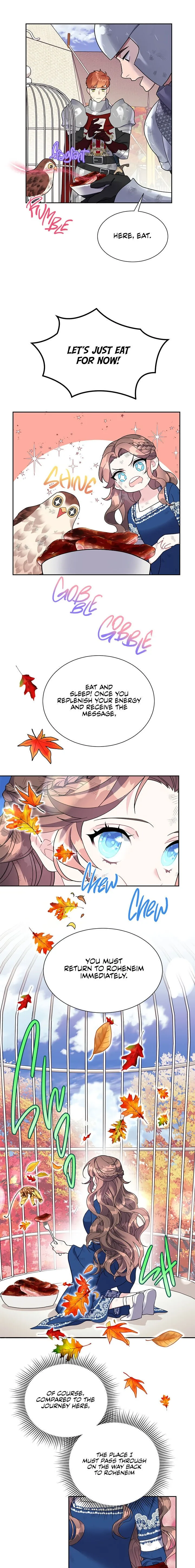 Cavier Falcon Princess Chapter 15 page 6