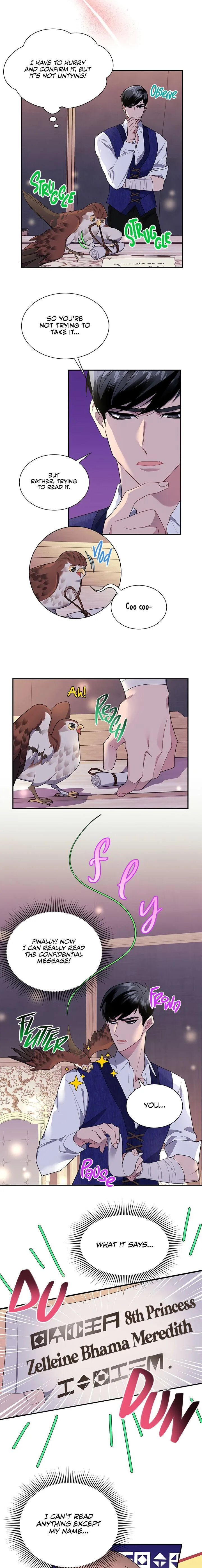 Cavier Falcon Princess Chapter 17 page 3